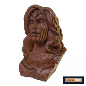 BUSTO MULHER MARAVILHA