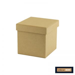 CAIXA TAMPA SAPATO 12X12X12