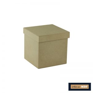 CAIXA TAMPA SAPATO 15X15X15