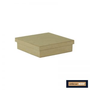 CAIXA TAMPA SAPATO 15X15X3