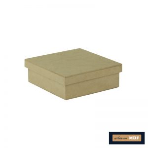 CAIXA TAMPA SAPATO 15X15X5