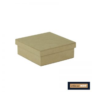 CAIXA TAMPA SAPATO 15X15X8