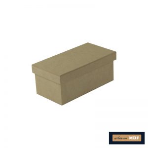 CAIXA TAMPA SAPATO 20X12X8