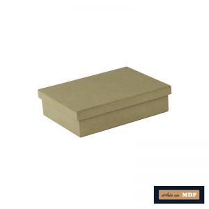 CAIXA TAMPA SAPATO 20X15X5