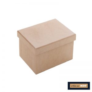 CAIXA TAMPA SAPATO 20X20X20