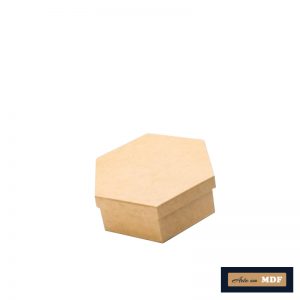 CAIXA TAMPA SAPATO SEXTAVADA M