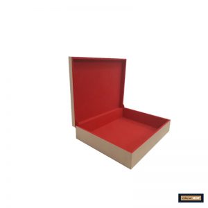 CAIXA ALBUM FOTO GRANDE FLOCADA