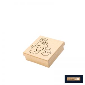 CAIXA 15X15 A LASER COELHO